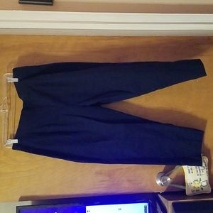 Jaclyn Smith Navy Pencil Pants 18W: A